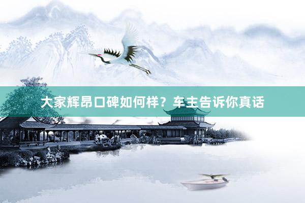 大家辉昂口碑如何样？车主告诉你真话
