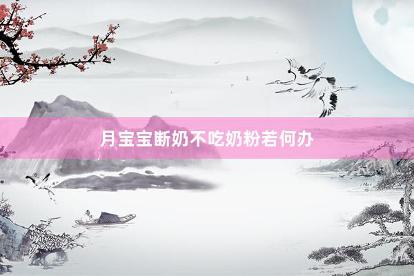 月宝宝断奶不吃奶粉若何办